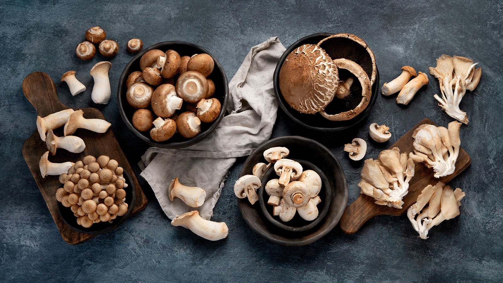 The Power of Mushroom Supplements